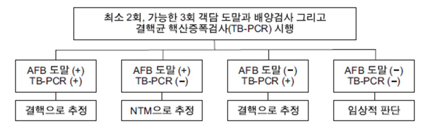 이미지: 폐결핵의 진단과정