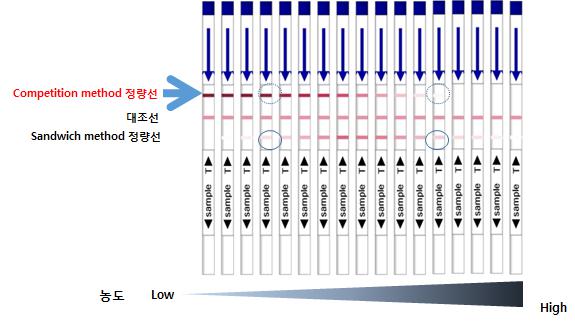 이미지: 면역크로마토그래피 판별법