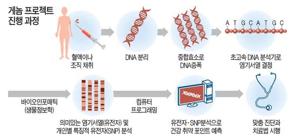 이미지: 게놈프로젝트 진행과정