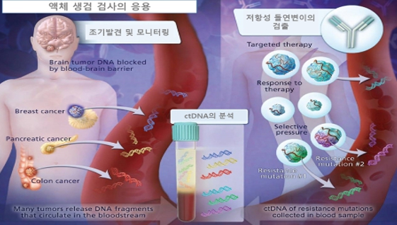 이미지: 액체생검의 응용