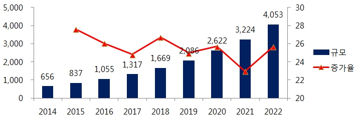 이미지: global direct to consumer market