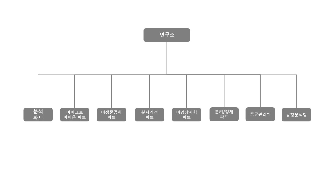 이미지: 연구소 조직도