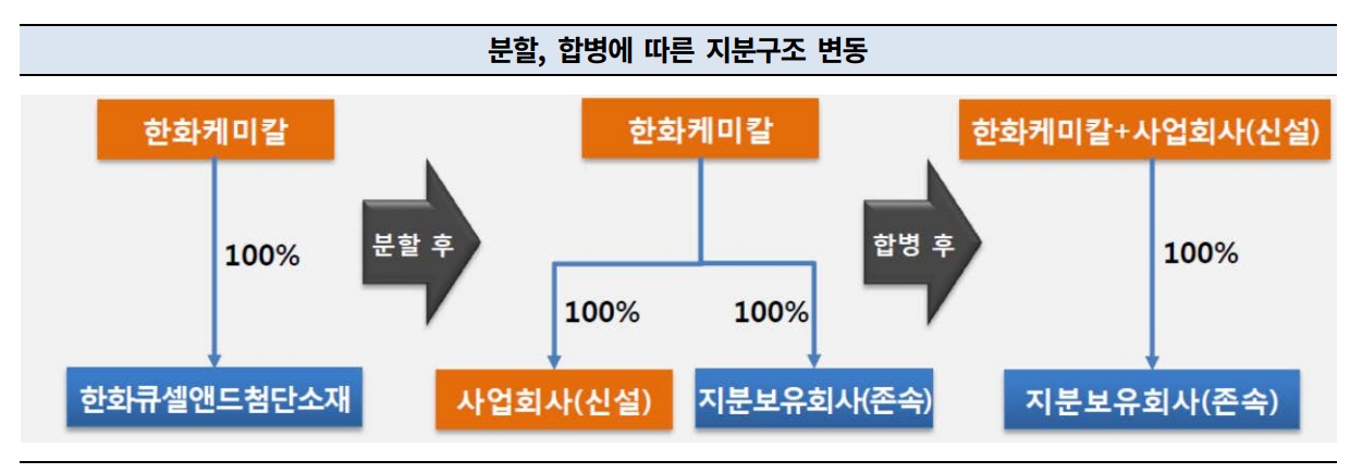 이미지: 분할,합병에 따른 지분구조 변동_증권신고서