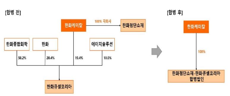 이미지: 한화큐셀앤드첨단소재 합병_20181119_증권신고서_2