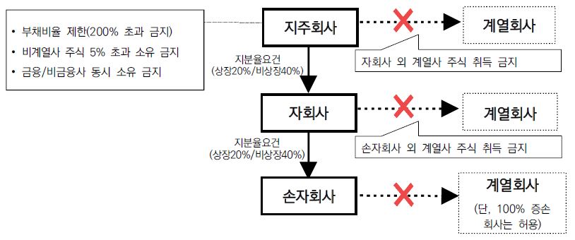 이미지: 지주회사 규율 내용
