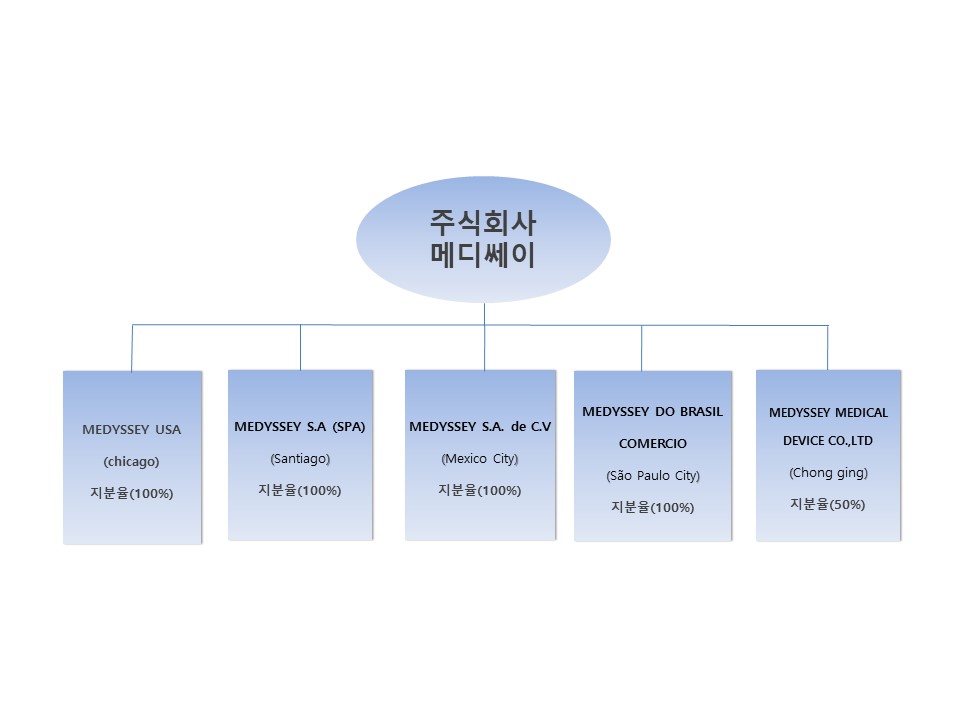 이미지: 조직도(해외법인)
