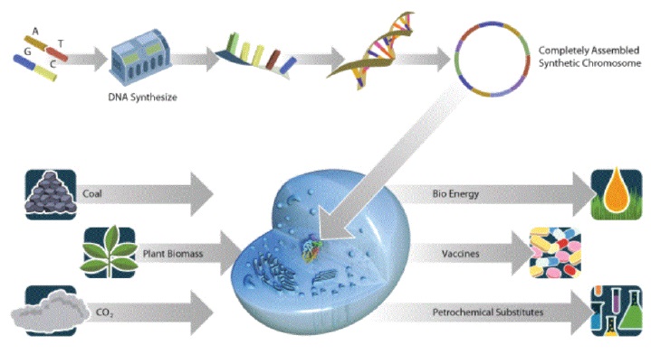 이미지: 그림. 합성생물학의 원리 및 활용분야