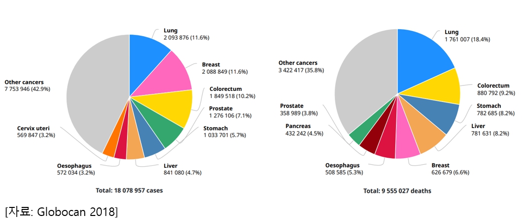이미지: 2018년 전세계 암 진단 발생 및 사망자 수