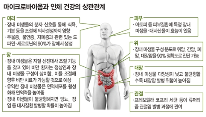 이미지: 마이크로바이옴과 인체 건강의 상관관계