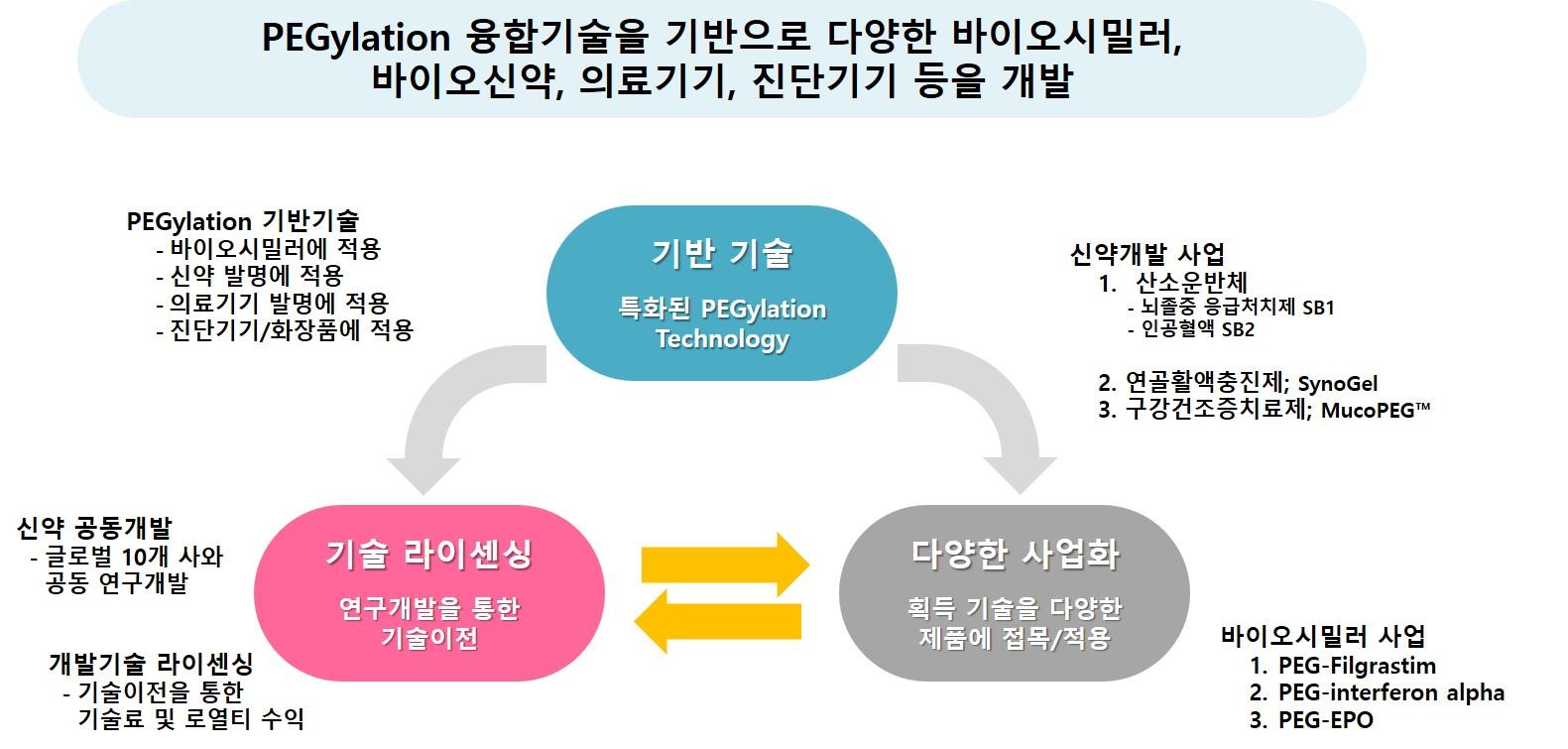 이미지: pegylation 융합기술 기반 파이프라인