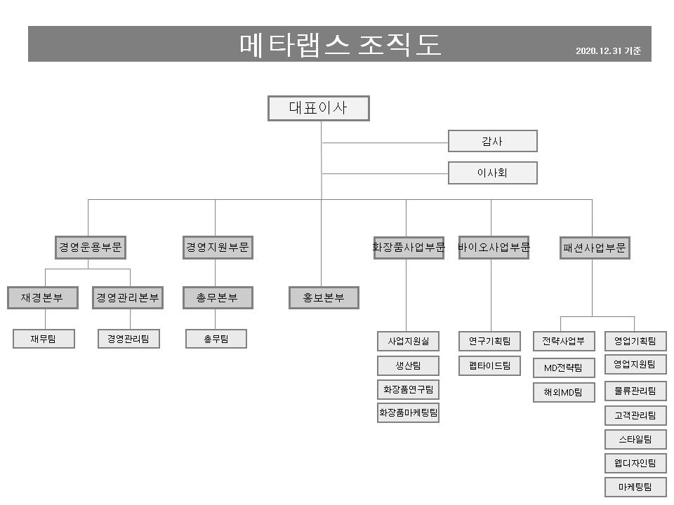 이미지: 메타랩스 조직도_20201231