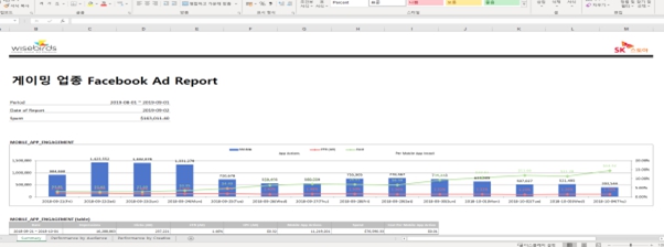 이미지: [“adwitt” 솔루션으로 작성한 리포트 엑셀파일]