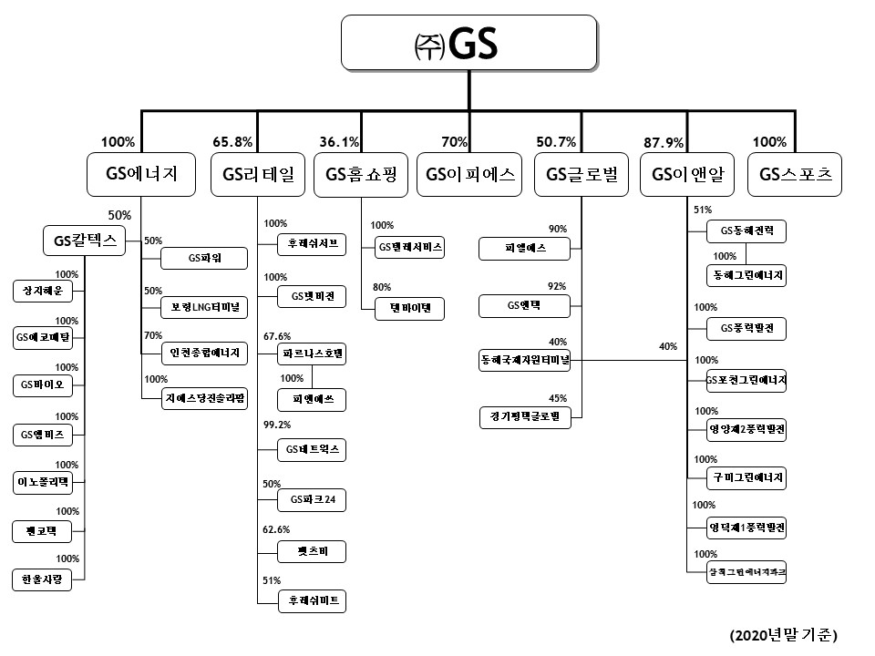 이미지: 지배구조_2020년말