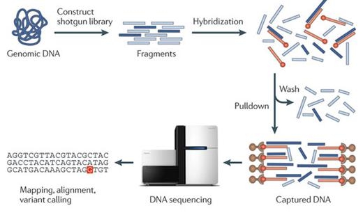 이미지: [Sequencing 원리]