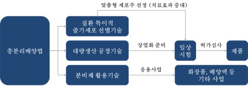 이미지: [연구개발 보유기술의 구조]