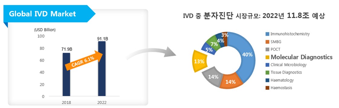 이미지: 분자 감염진단 시장규모 및 성장성