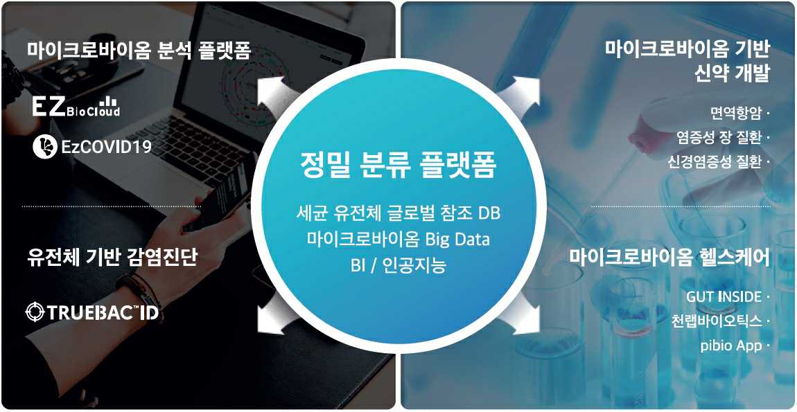 이미지: 천랩의 사업포트폴리오