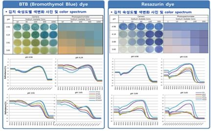이미지: [김치 숙성도에 따른 김치 숙성도 센서의 색변화 및 ph 변화]