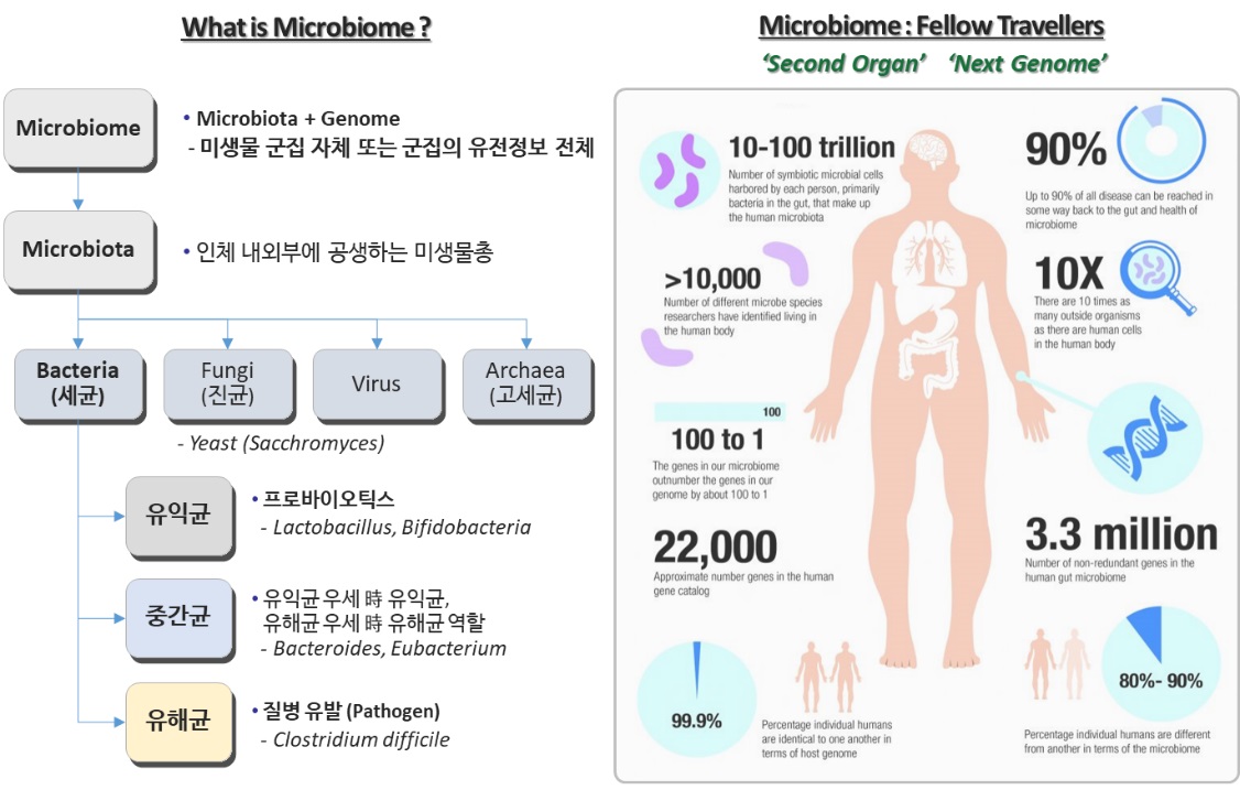 이미지: 출처: www.scdprobiotics.com/The-importance-of-the-Microbiome-s/826.htm