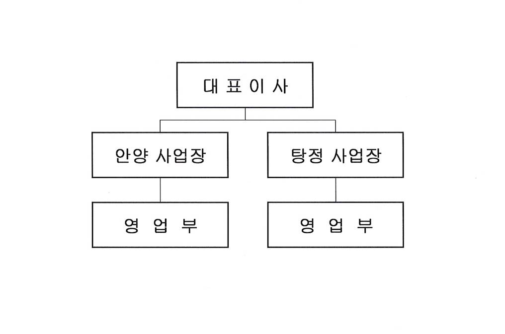 이미지: 판매조직도