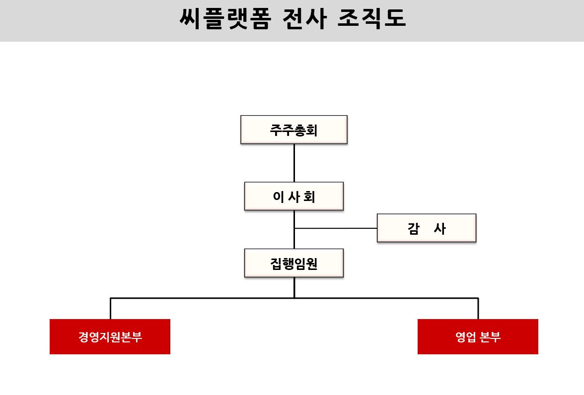 이미지: 씨플랫폼 전사 조직도(2020.12.31)