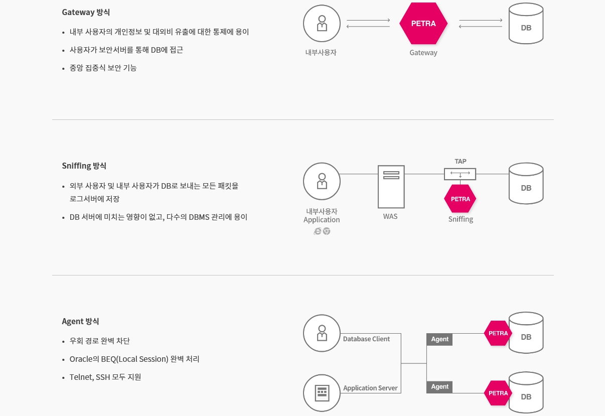 이미지: 페트라 아키텍처