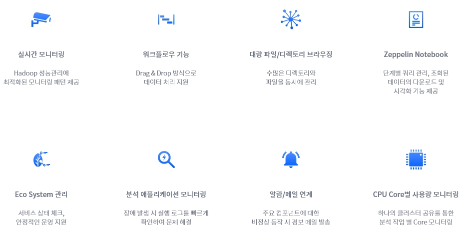 이미지: 플라밍고 특징