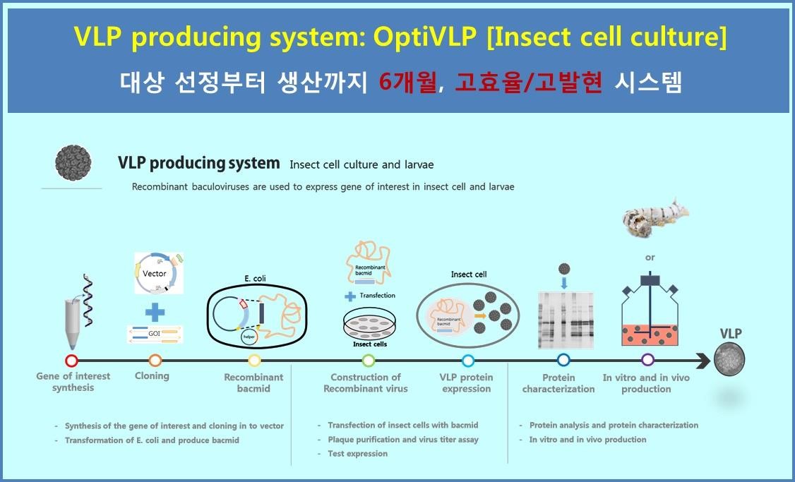 이미지: 당사의 VLP 기반 백신생산 시스템