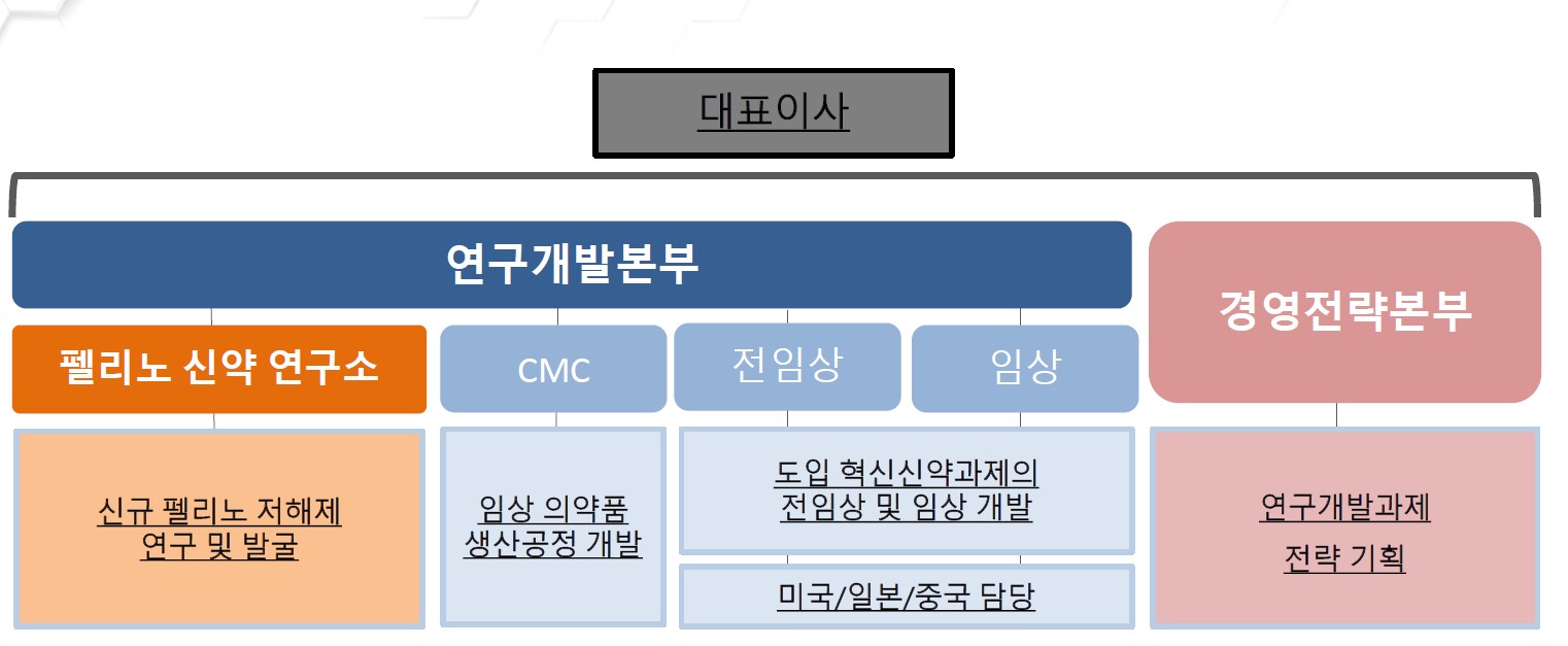 이미지: 조직도