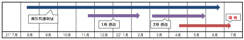 이미지: 보이-데뷔플랜