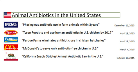 이미지: Animal Antibiotics in the United States