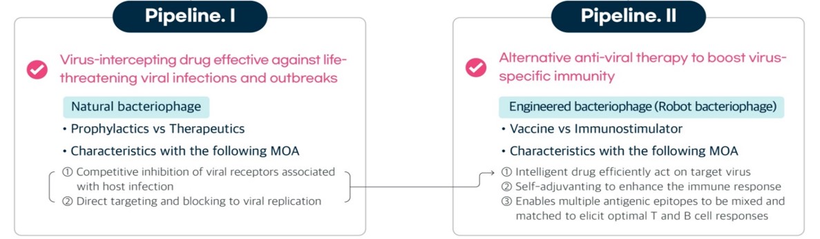 이미지: Phagerus Pipelines