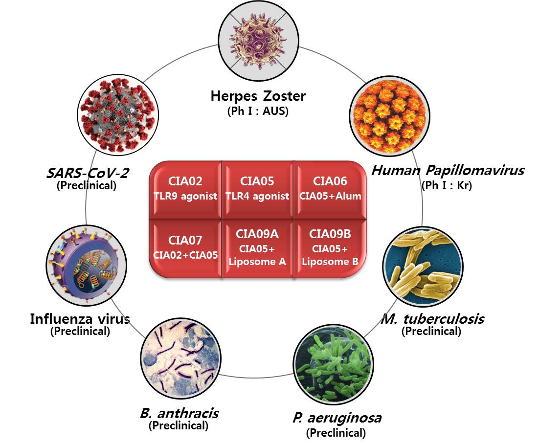 이미지: [ 면역력 강화 : 백신 개발 ]
