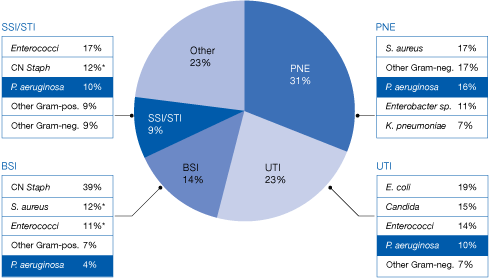 이미지: 원내감염 중 녹농균 분포