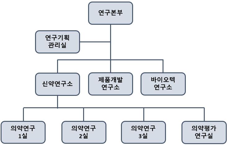 이미지: 연구본부조직도