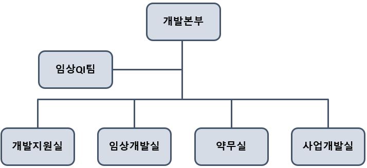 이미지: 개발본부조직도