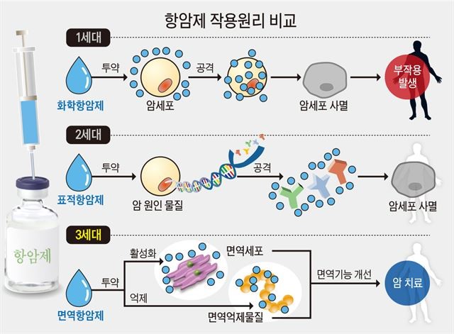 이미지: 항암제작용원리비교