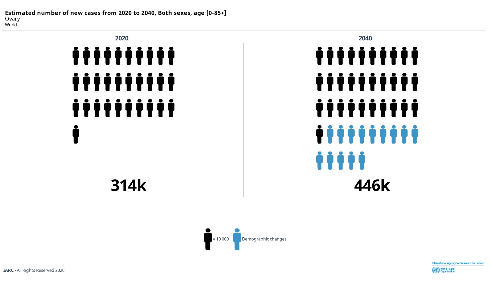 이미지: 난소암환자수