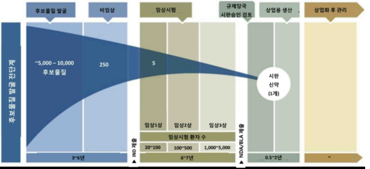 이미지: 신약개발승인과정