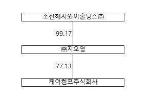 이미지: 케어캠프 계통도