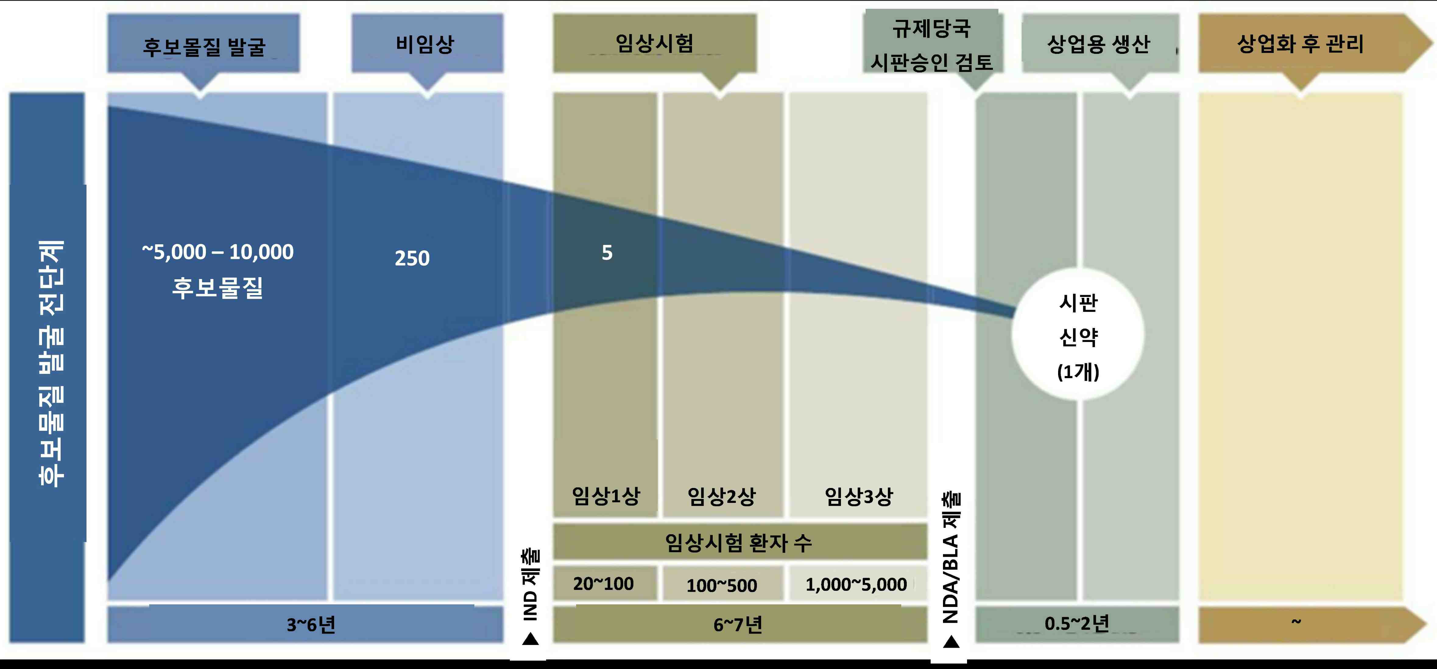 이미지: FDA의 신약개발 승인과정