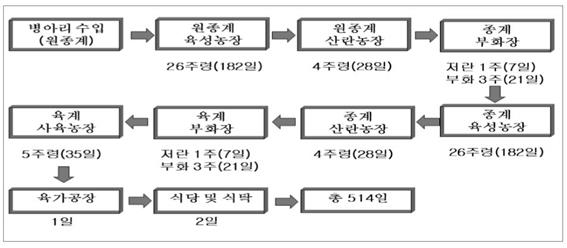 이미지: 육계흐름도