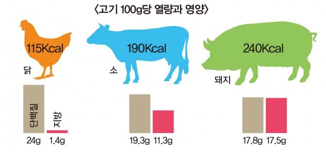 이미지: 3대 육류 단백질 및 지방 함유량