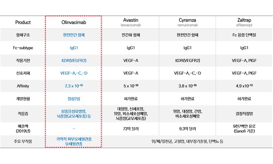 이미지: vegf vefgr표적치료제 비교