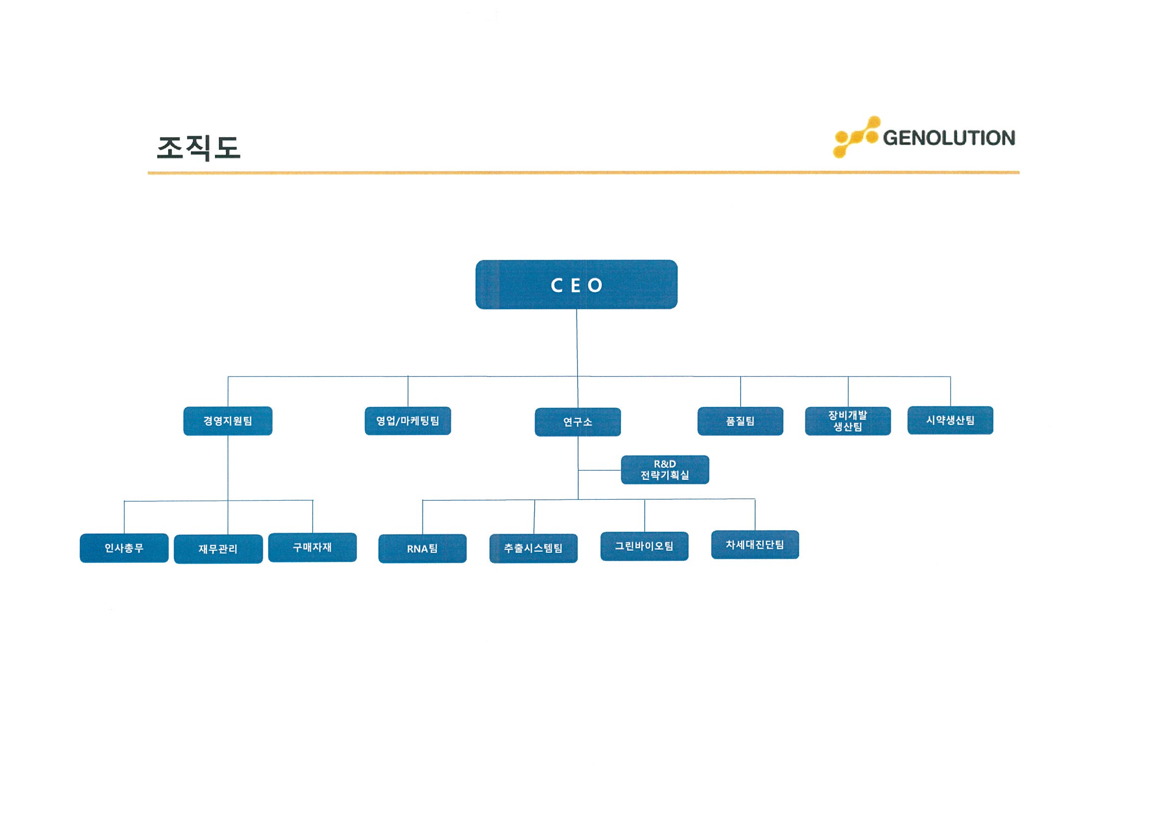 이미지: 조직도