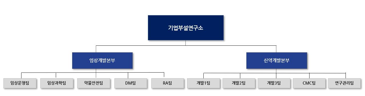이미지: 기업부설연구소 조직도