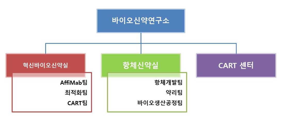 이미지: 연구소 조직도