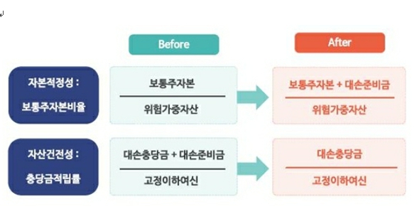 이미지: 보통주자본 인정