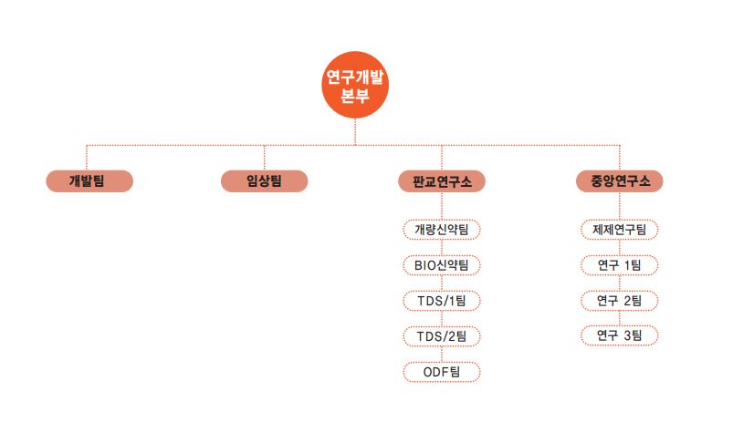 이미지: 대화제약(주) 연구조직도
