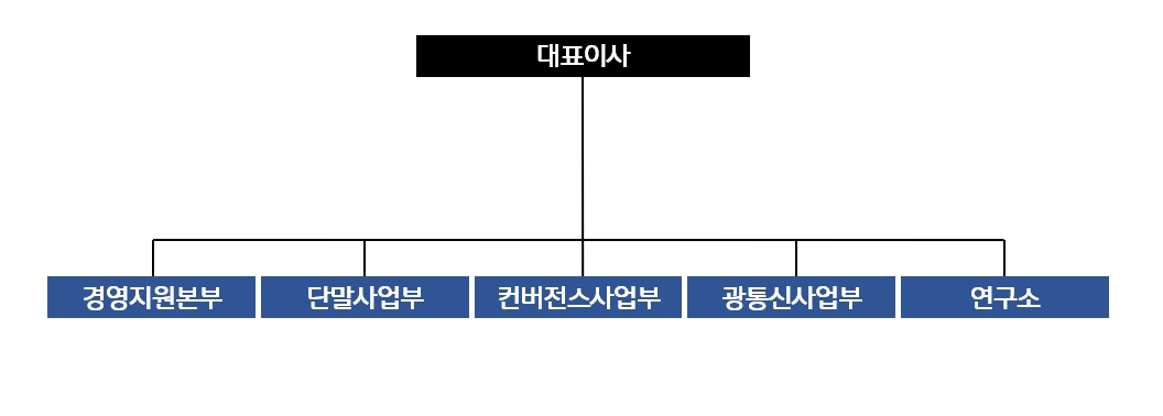 이미지: (주)머큐리 조직도